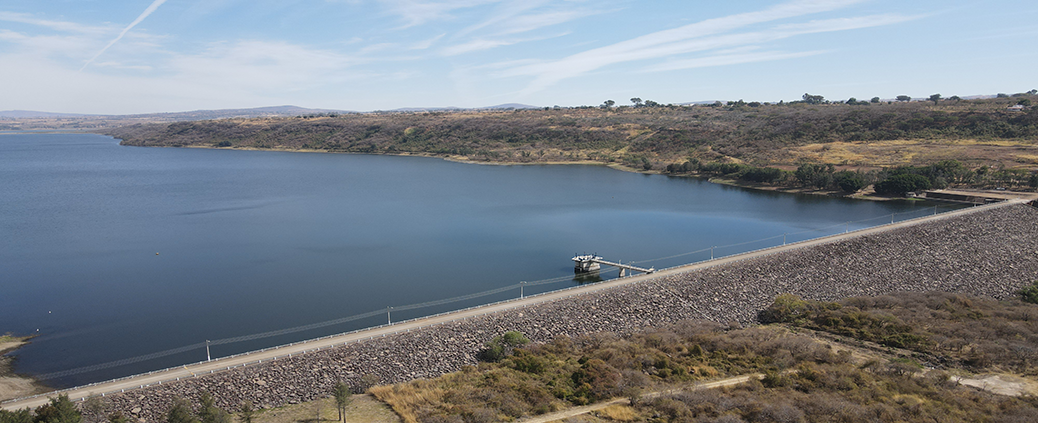 Imagen en carrusel de la Vista lago de Chapala, incluye una garza volando