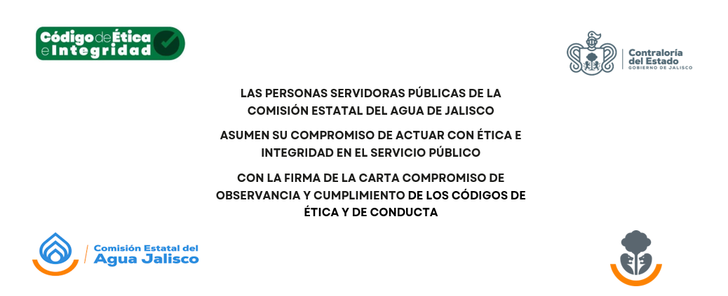 Carta compromiso