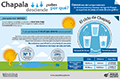 Infográficos CEA